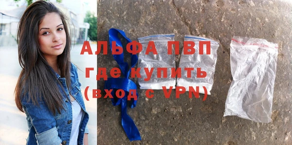 прущие грибы Протвино